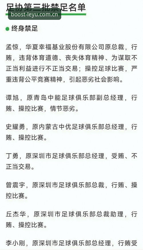 中国足球禁足名单深度解读教程——从“终身禁足”看行业乱象与体育精神重塑